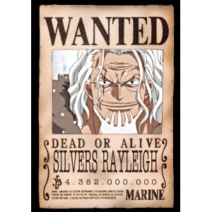 Placa Decorativa OnePiece Wanted Silver Raylight